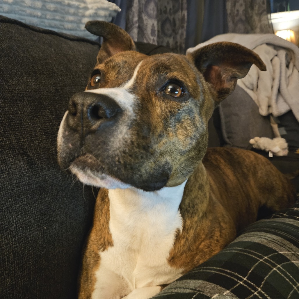 Rosie