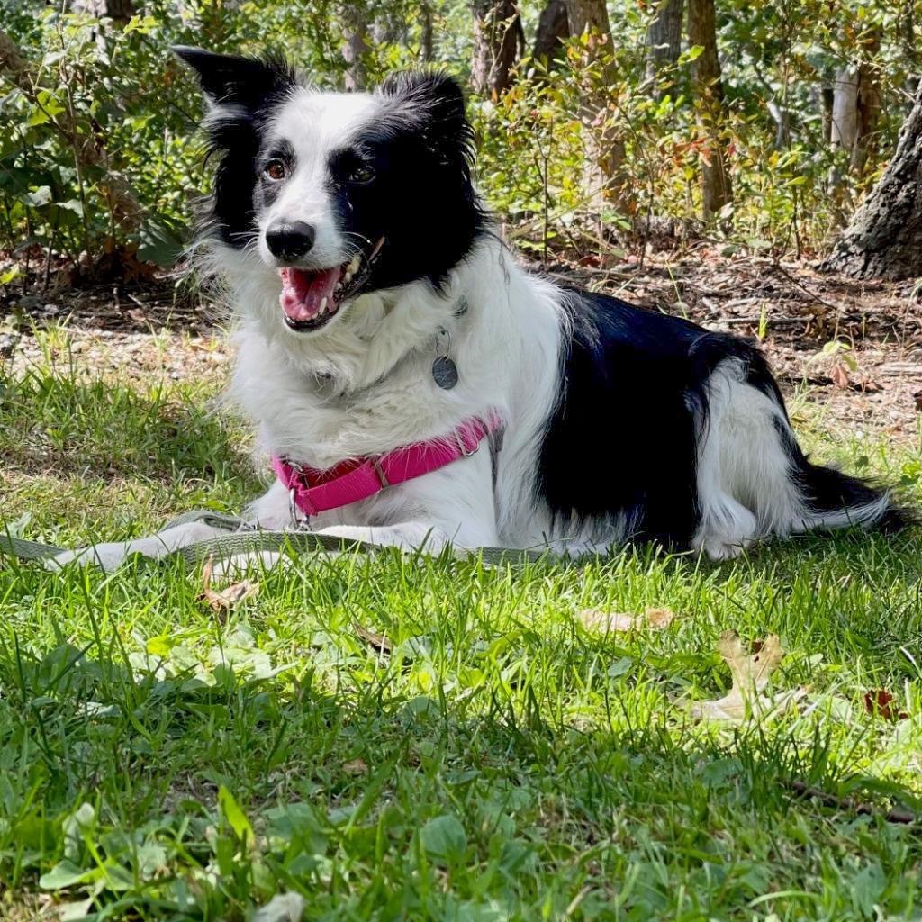 Kira