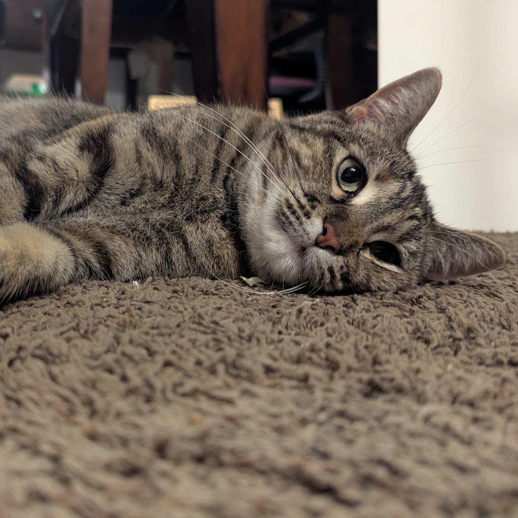 Tigger