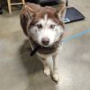 Charlie photo 1