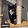Baby Girl photo 2