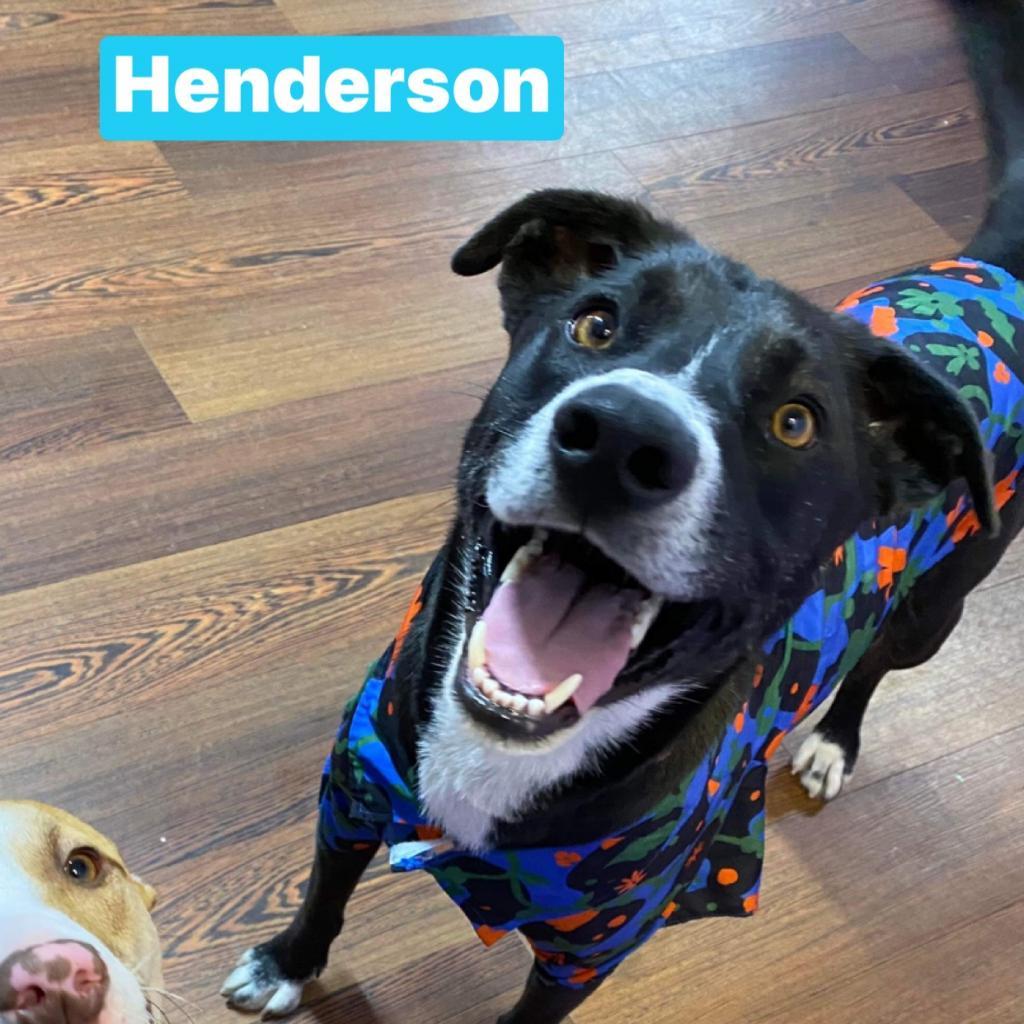 Henderson