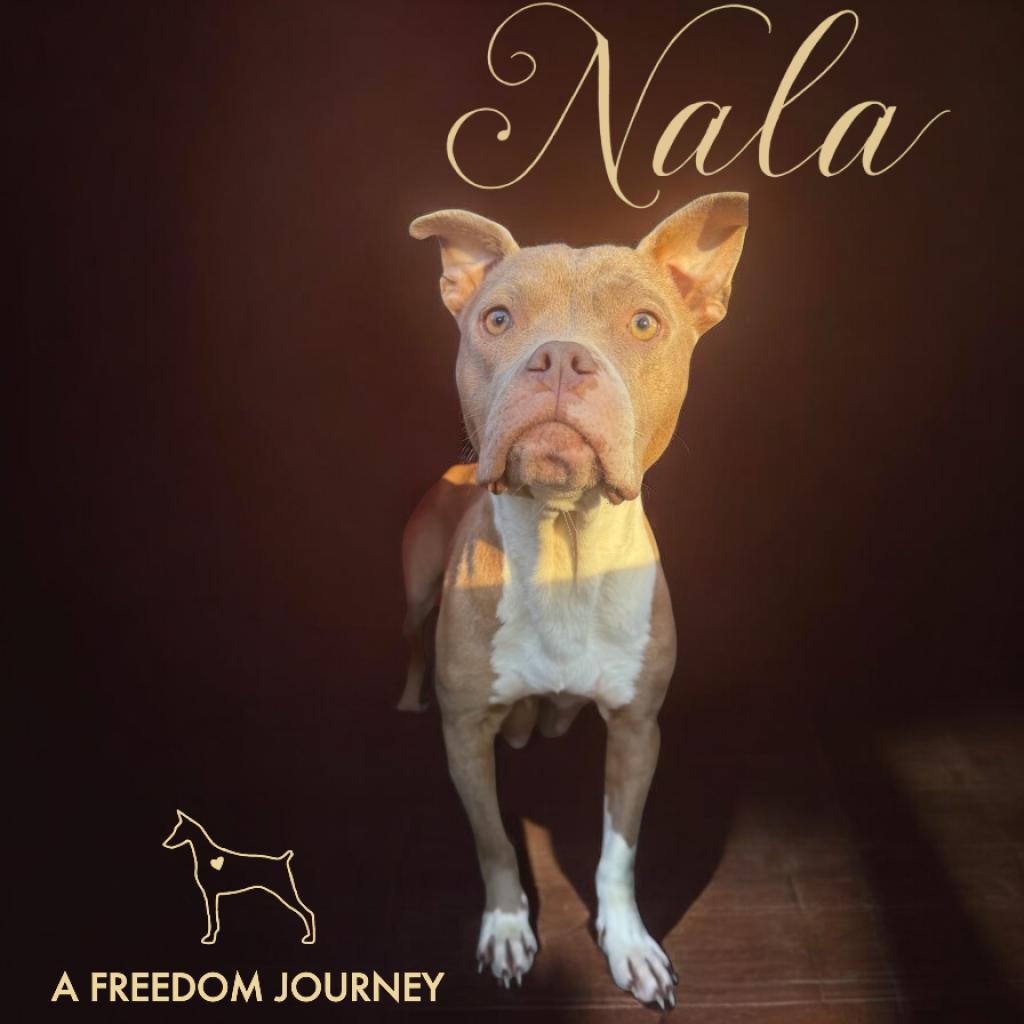 Nala