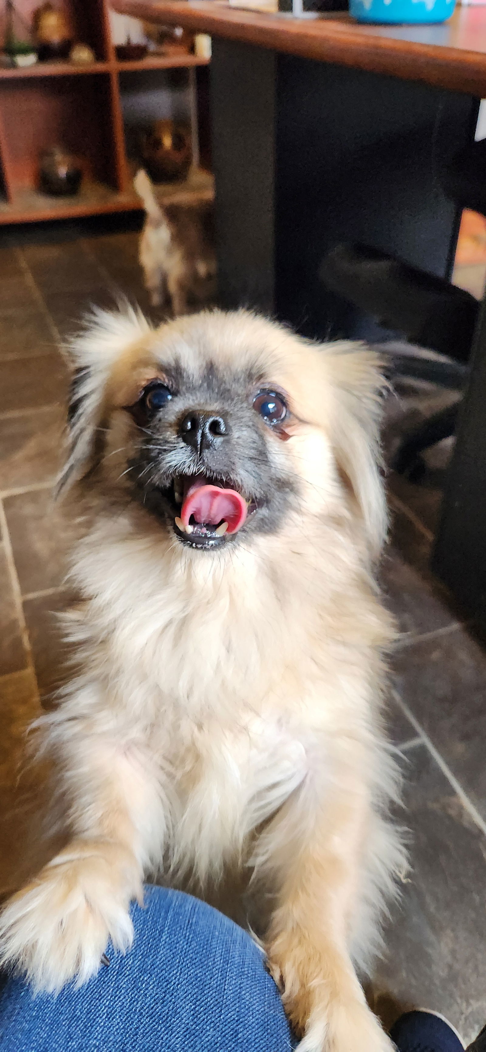 Mia