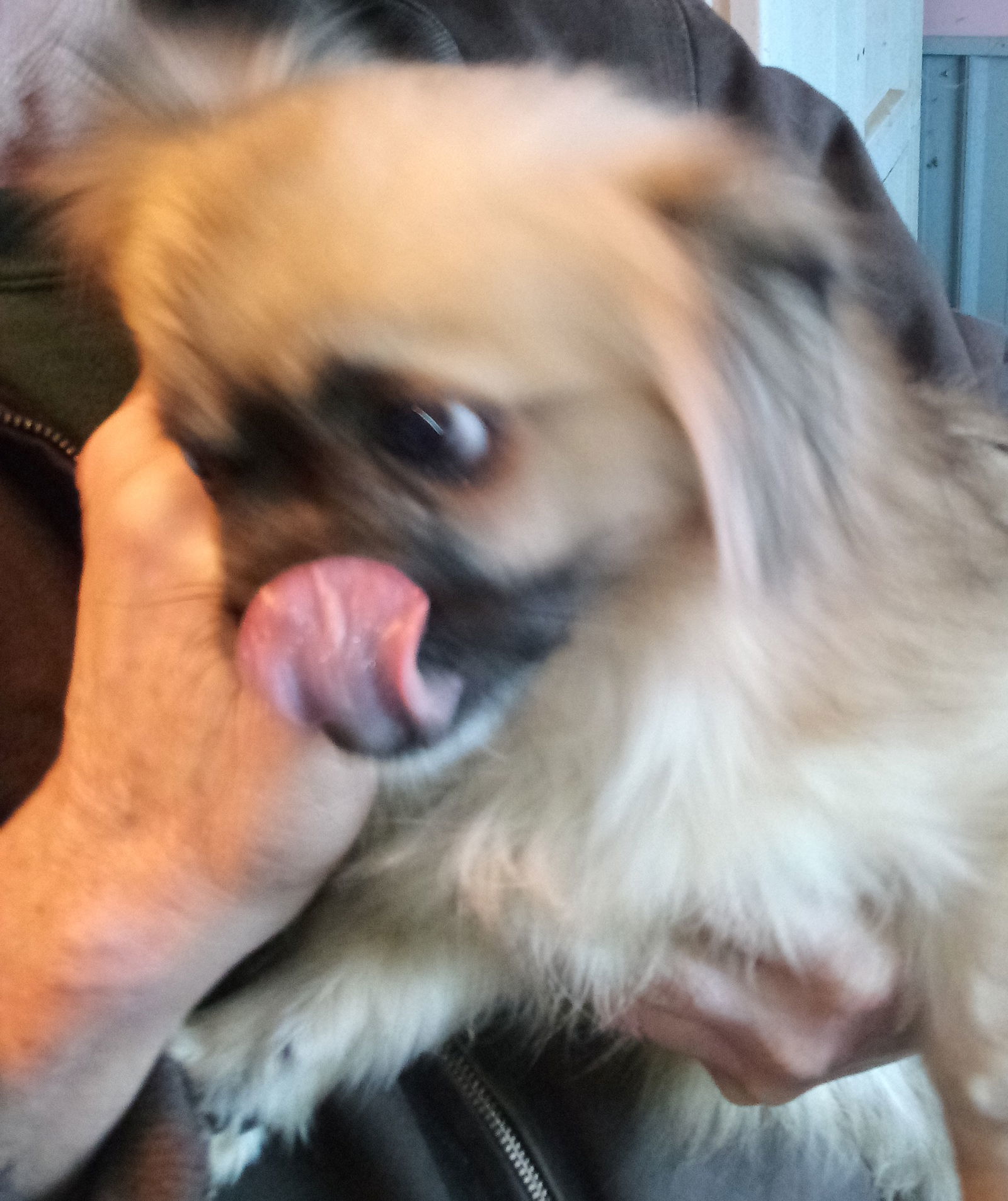 Mia