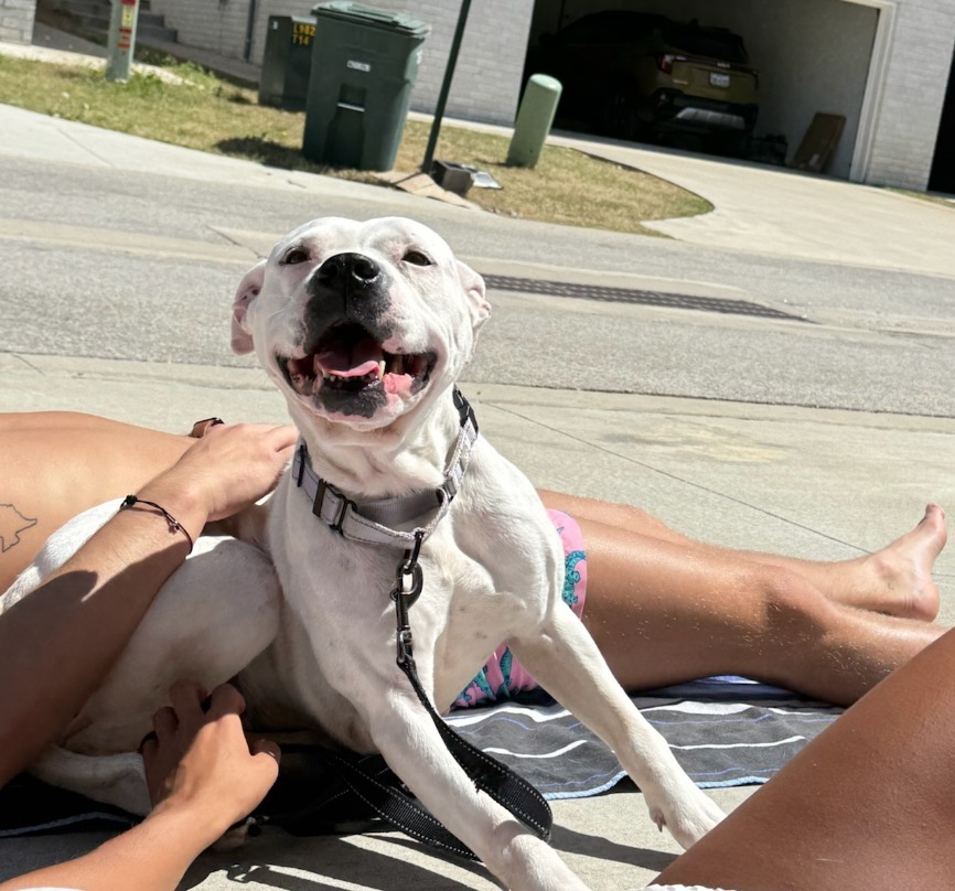 Meeka