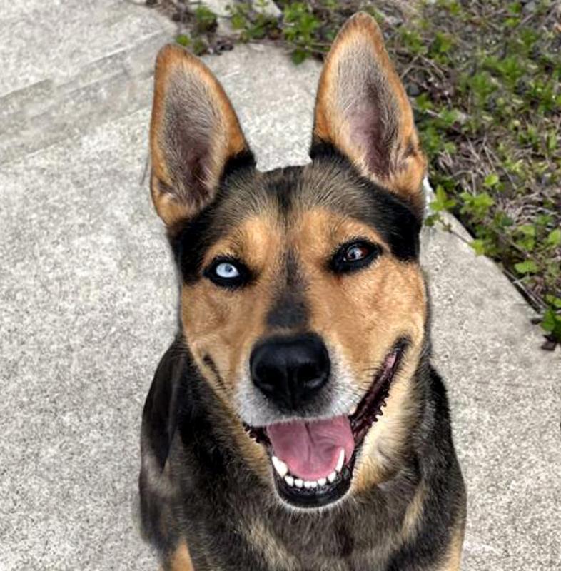 Heidi