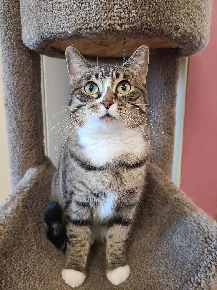 Chloe