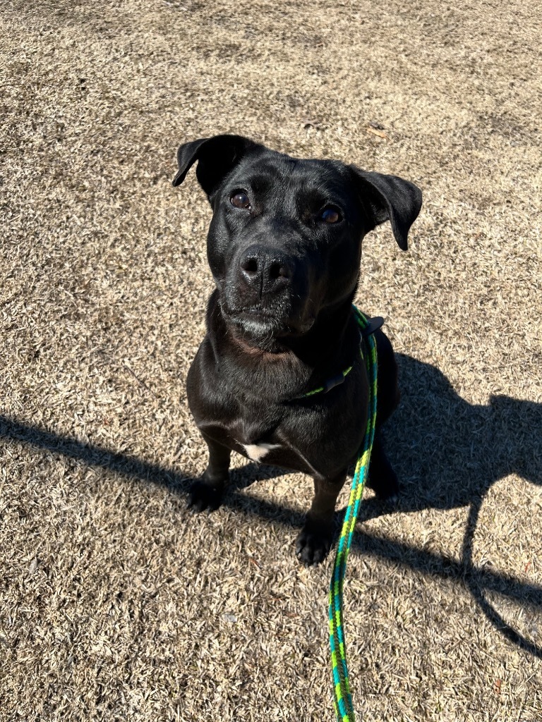 Elle "Ellie