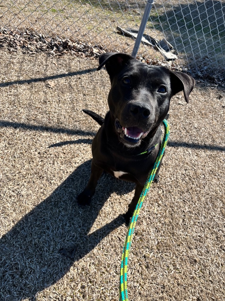 Elle "Ellie