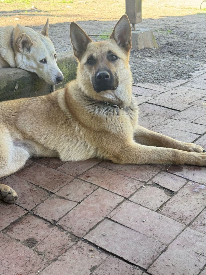 Hermoine 2