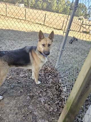 Priss 4