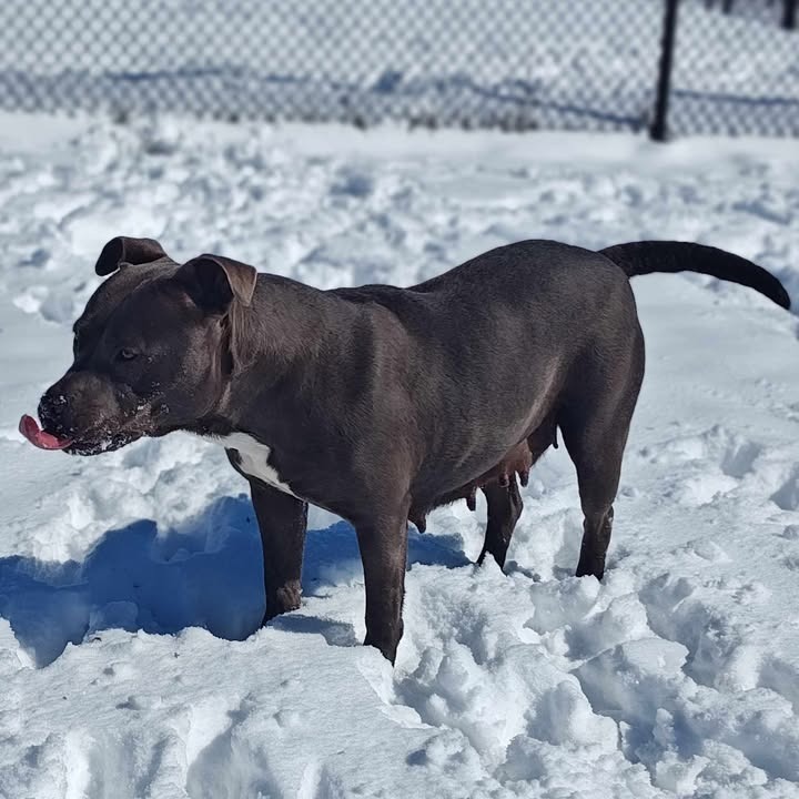 Maggie 6