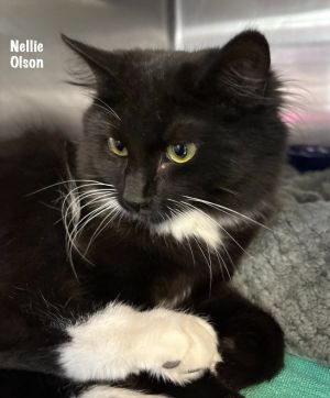 37-Nellie Olson