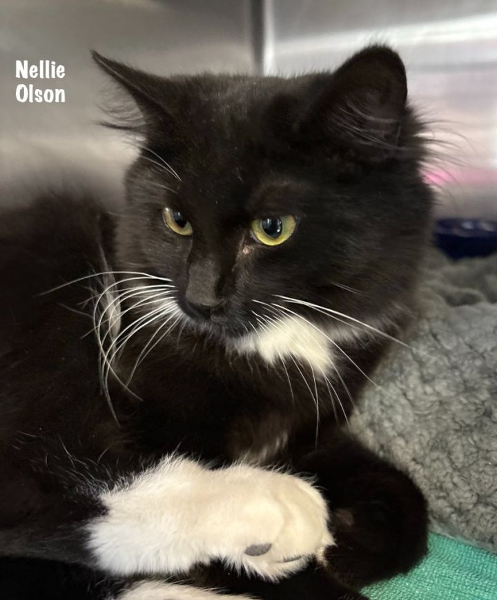 37-Nellie Olson 1