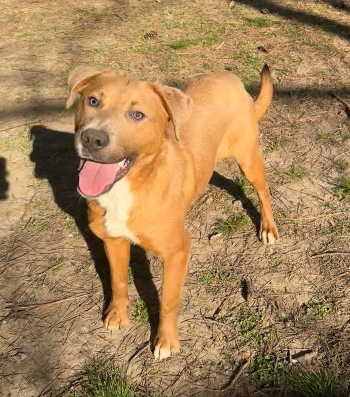Ryder 1