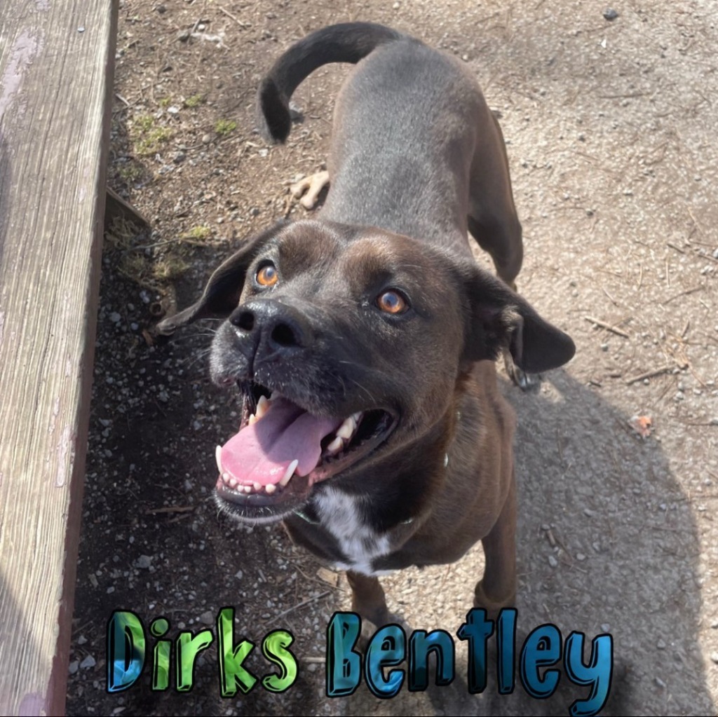 Dirks Bentley