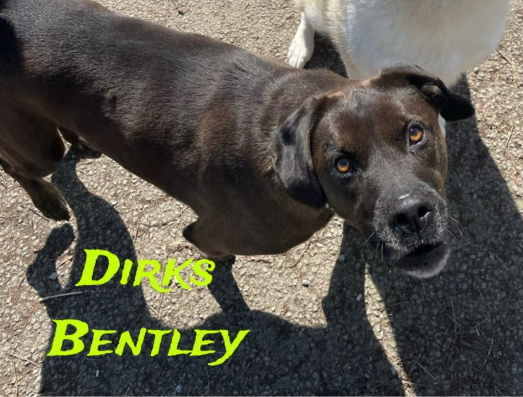 Dirks Bentley