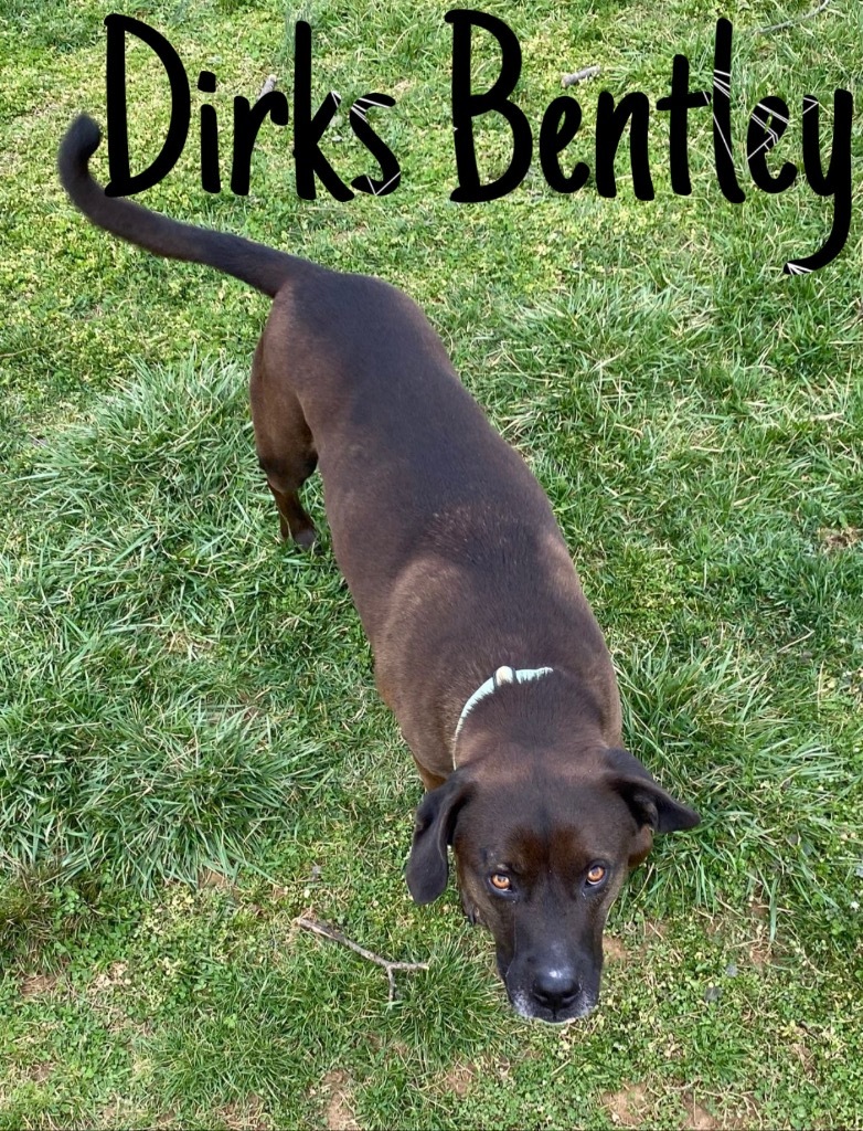 Dirks Bentley