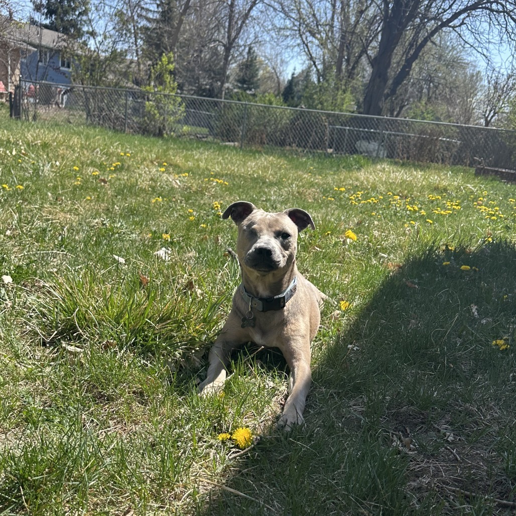 Nelly