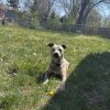 Nelly photo 1