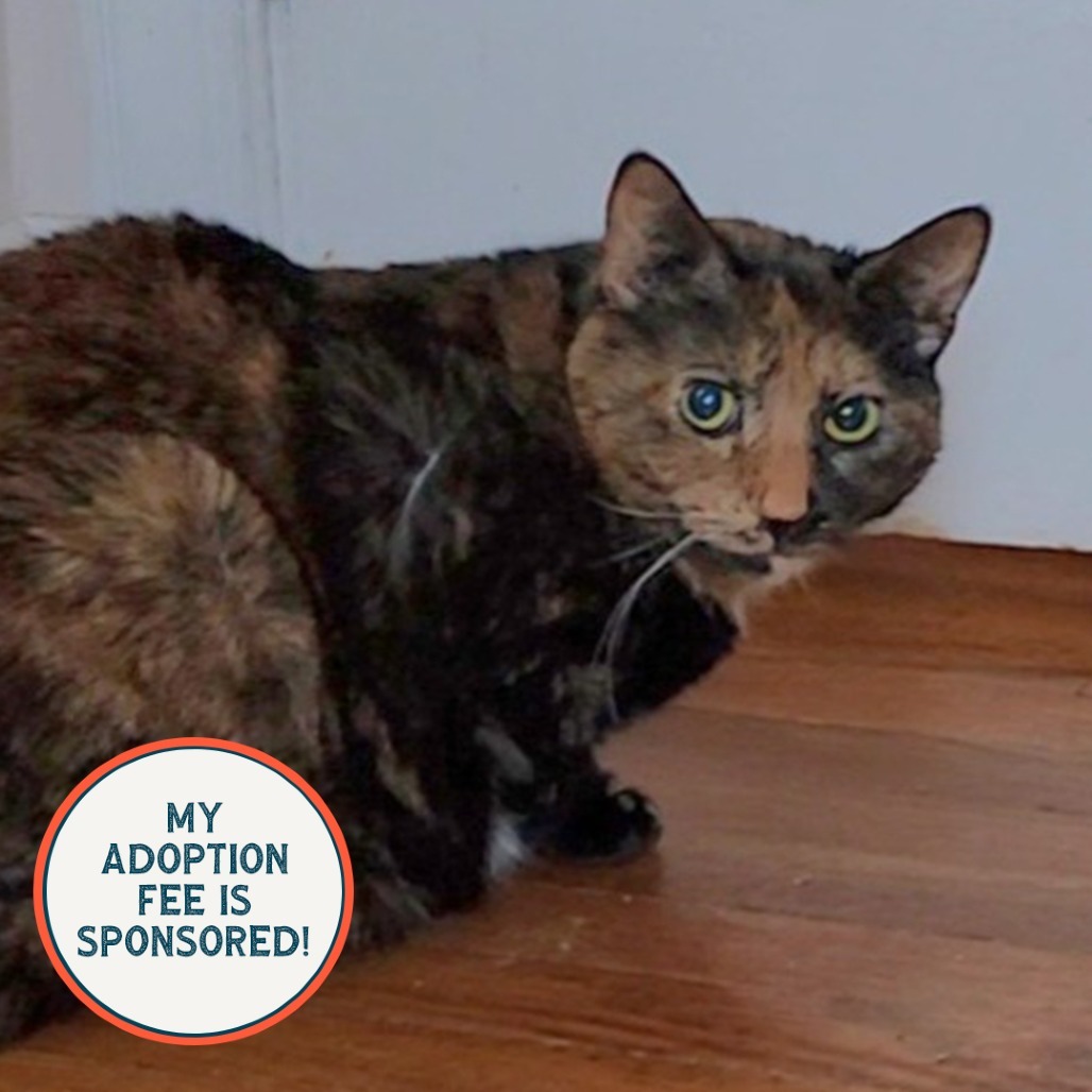Lumbley - IN FOSTER