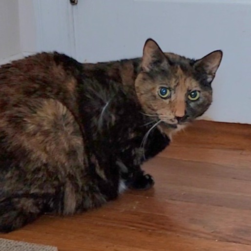 Lumbley - IN FOSTER