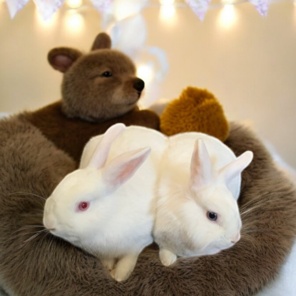 Winder(bonded to Gracie)