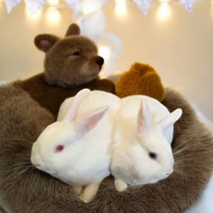 Winder(bonded to Gracie)