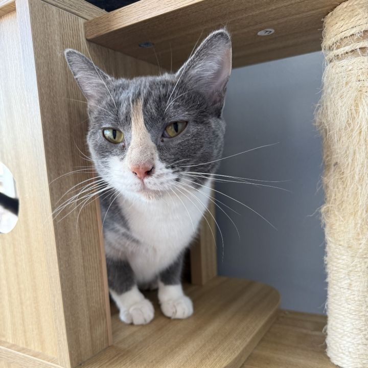 Kiki 1