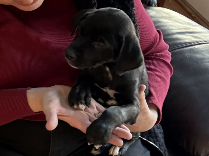 Tiny Tim 5