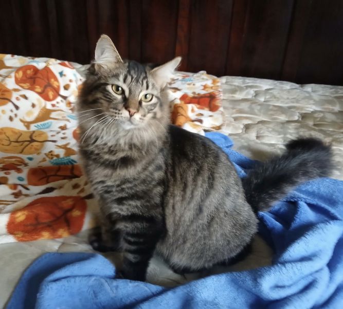 Fluff