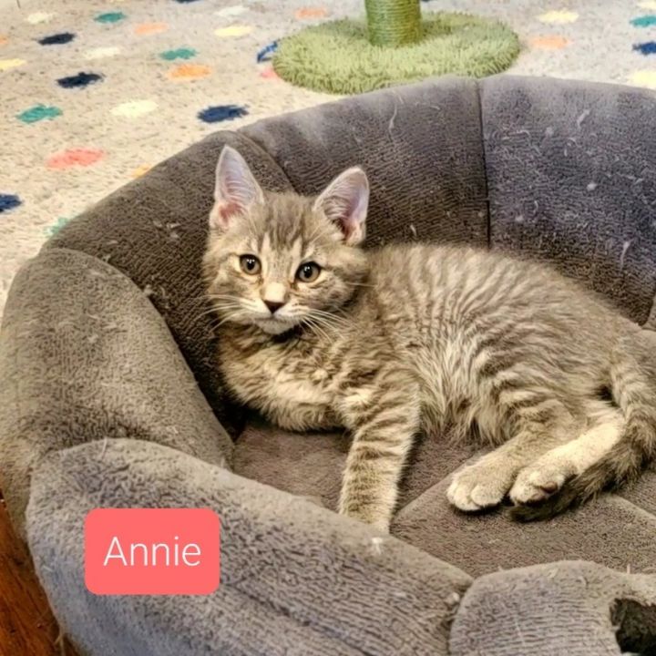 Annie 1