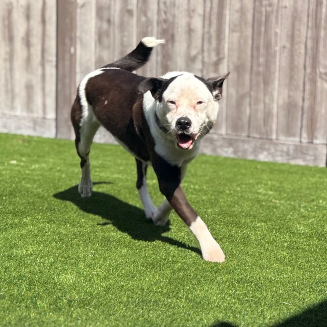 Luna