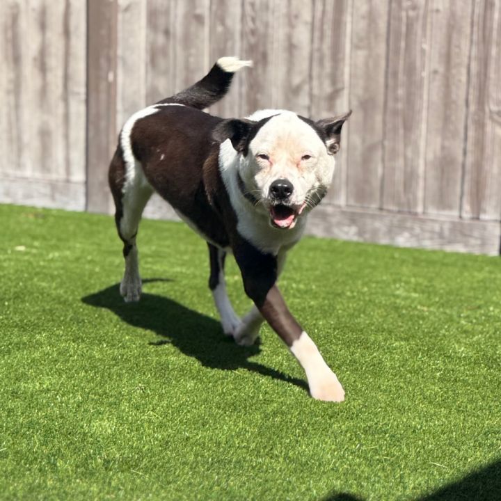 Luna 2