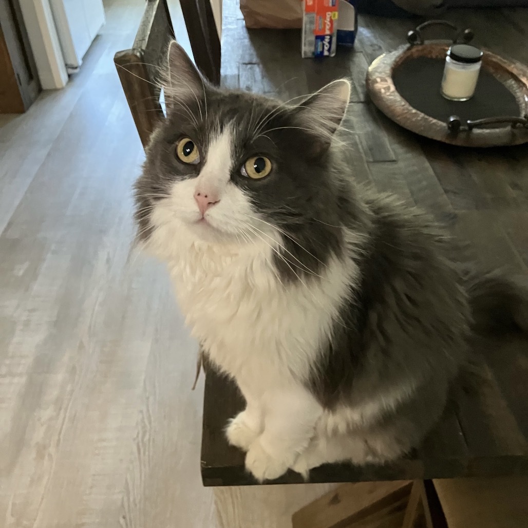 Chloe
