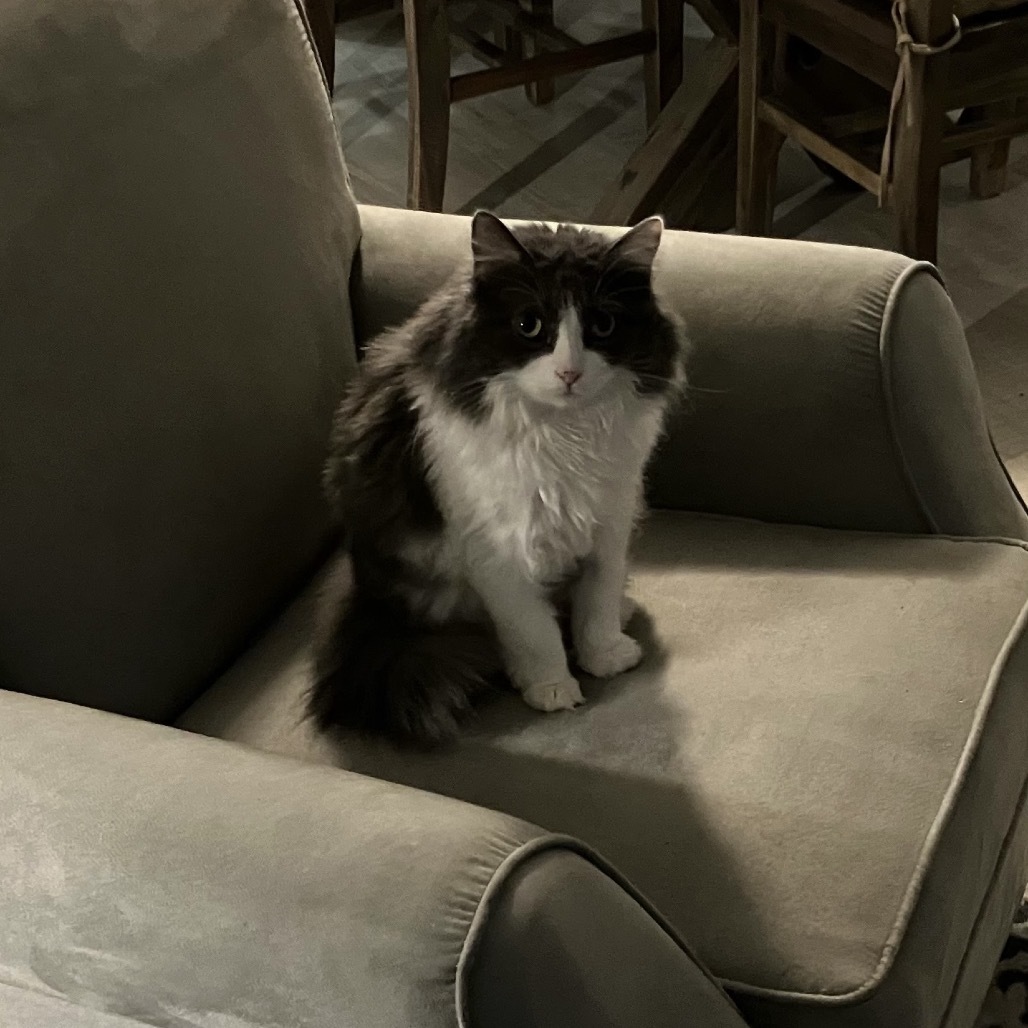 Chloe