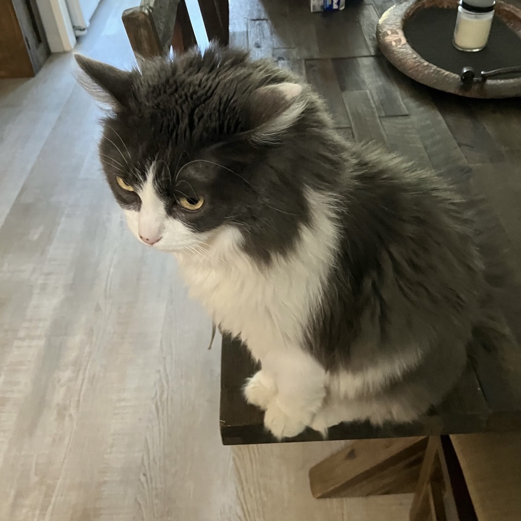 Chloe