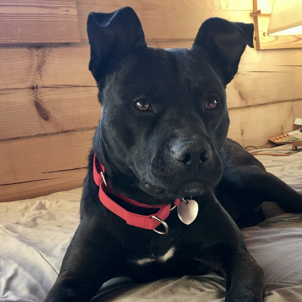 Jet