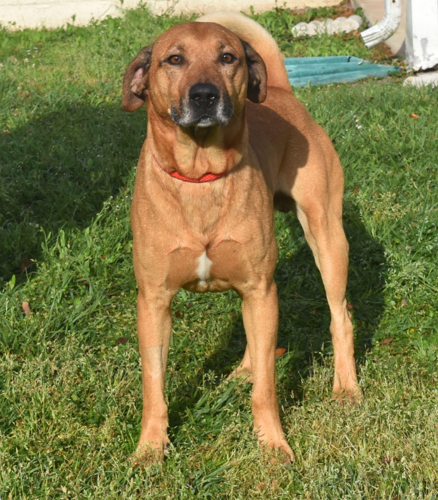 Ragnar