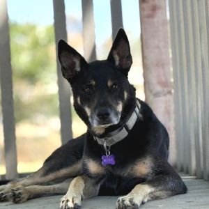 Emma, Senior Female unknown
