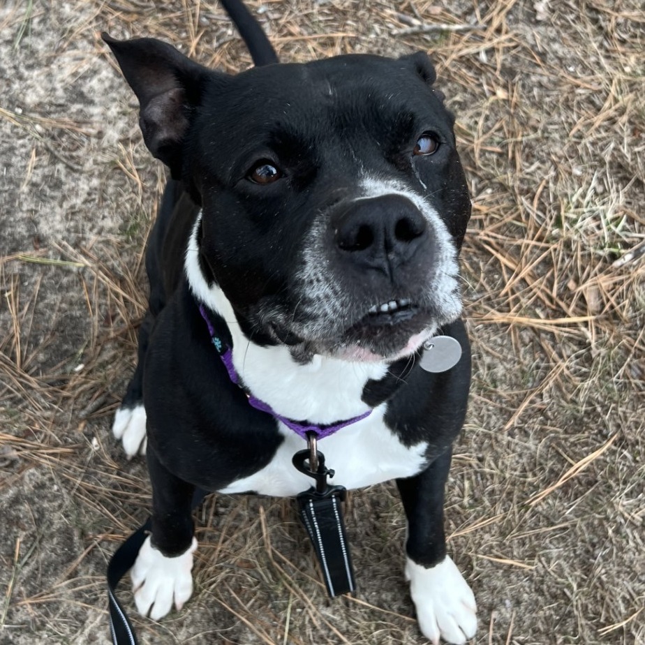 Tyson