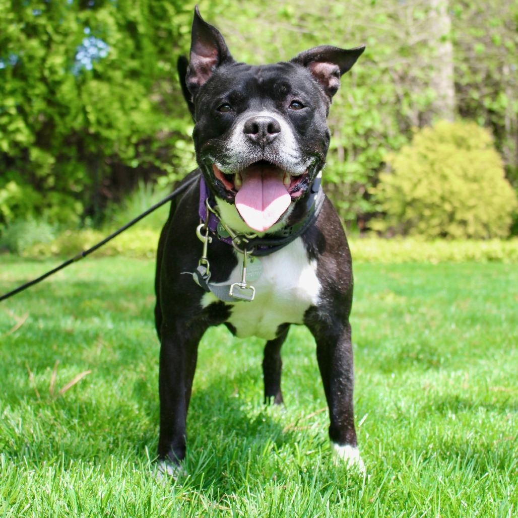 Tyson