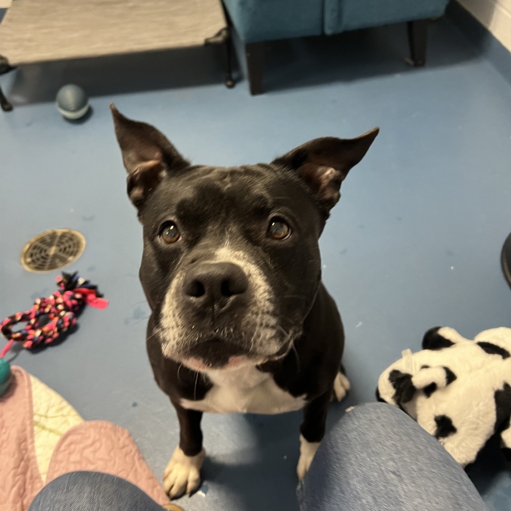 Tyson