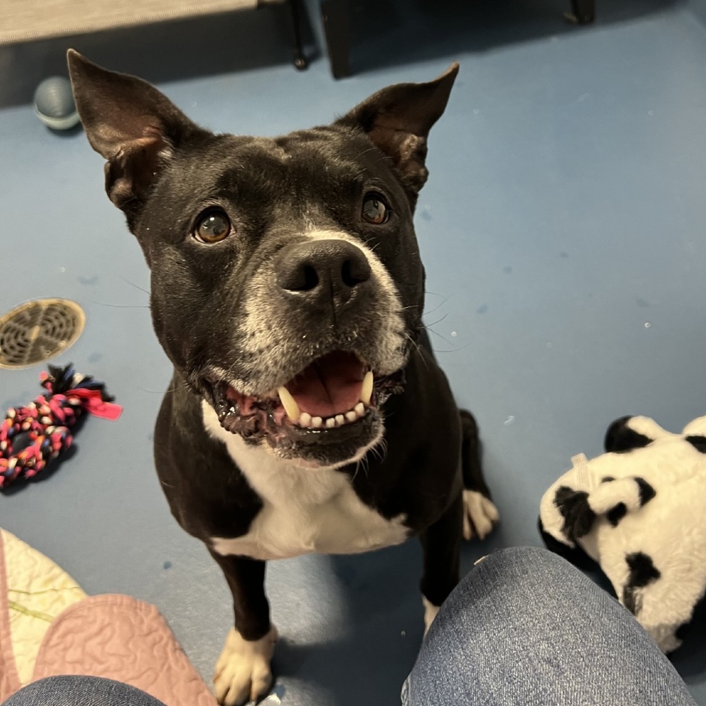 Tyson