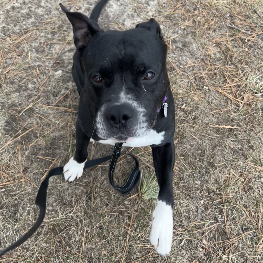 Tyson