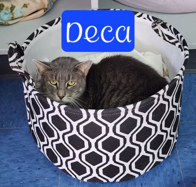 Deca