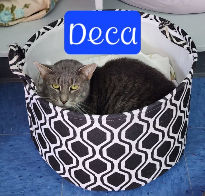 Deca 1