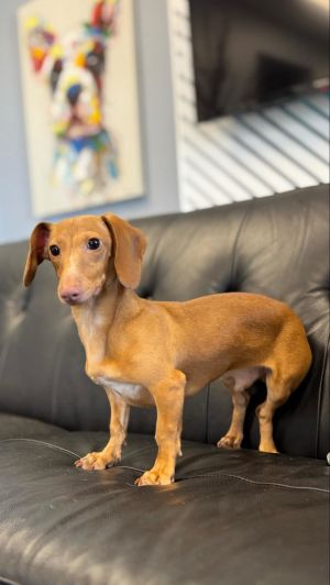 Milo