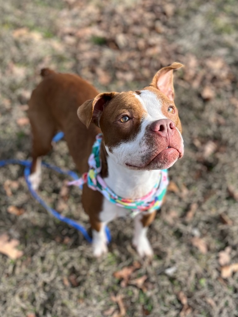 Fiona